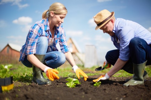 Northolt gardening expert working on a flower bed